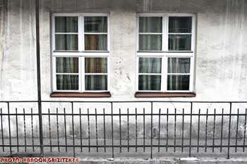 IMG_ (11316)